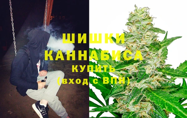 соль ск Елабуга